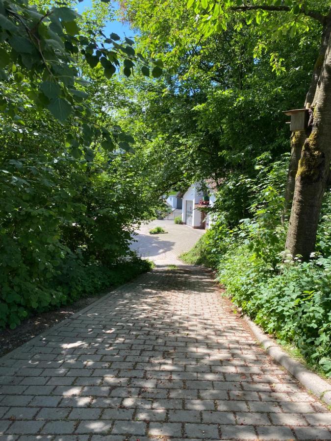 Haus Dreil Lejlighed Ober-Abtsteinach Eksteriør billede